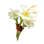 Marsh Flower