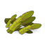 Plante Palustre