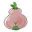 Planta legre