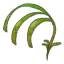 Planta érea