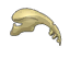 Clef Griffue