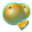 Oranges Givrées