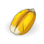 Grains de Blé