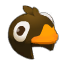 Kouinkasque Noir