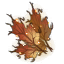 Autumn Leaves