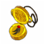 Fallanster's medallion