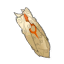 Imakape