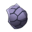 Master Tor Toise's Shell