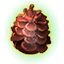 Pine Done