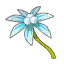 Fleur de Dzibi