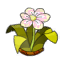 Greater Bherb Relic