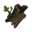 Dark Treechnid Dark Bark