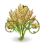 Experimental Cereal
