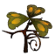 Plante soufrière