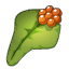Enchanted Sarsaparilla Leaf