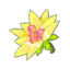 Fleur de Sutol