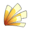 Feuilles d'Éphémûrier