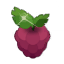 Framboise