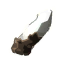Rune Do Neutre