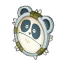 Raydi Shield